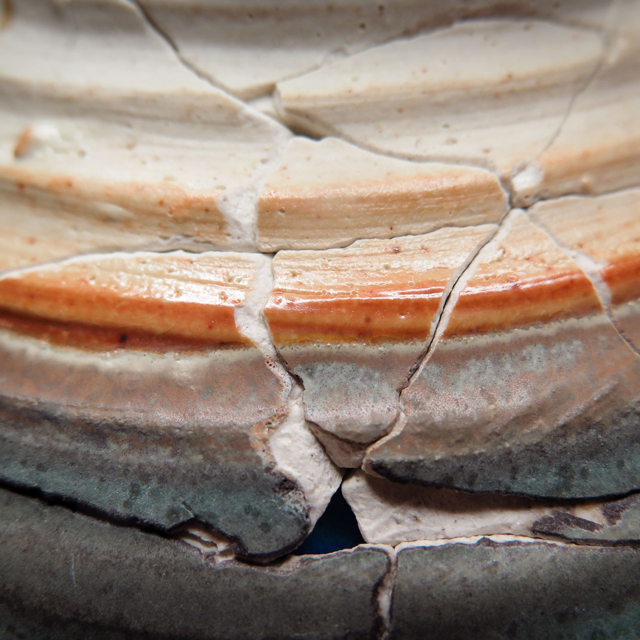 Kintsugi ohne Vergoldung_211017_web